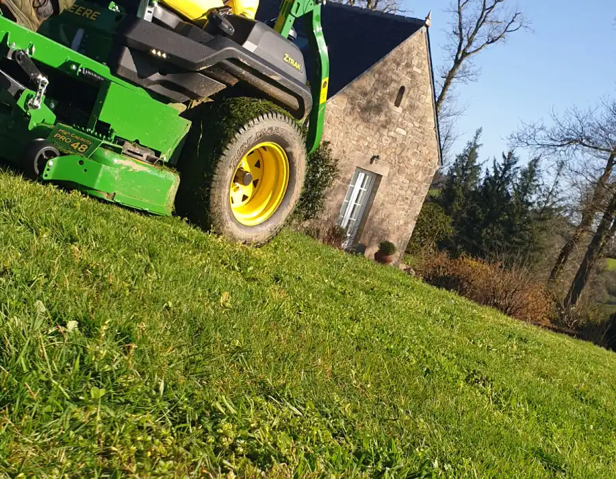 Tonte de pelouse