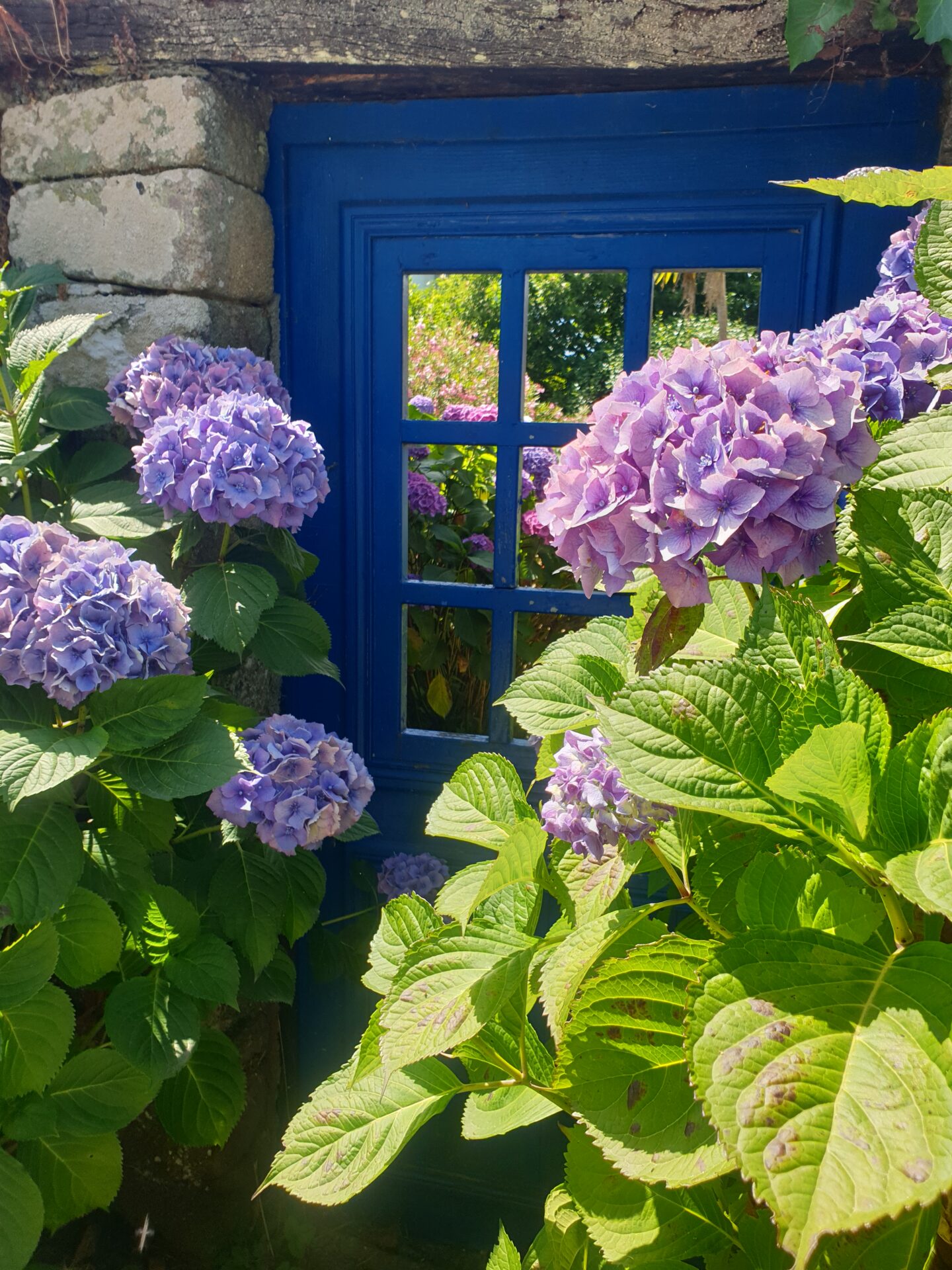 contact avel paysages - Paysagiste et jardinier à Quimper et alentours